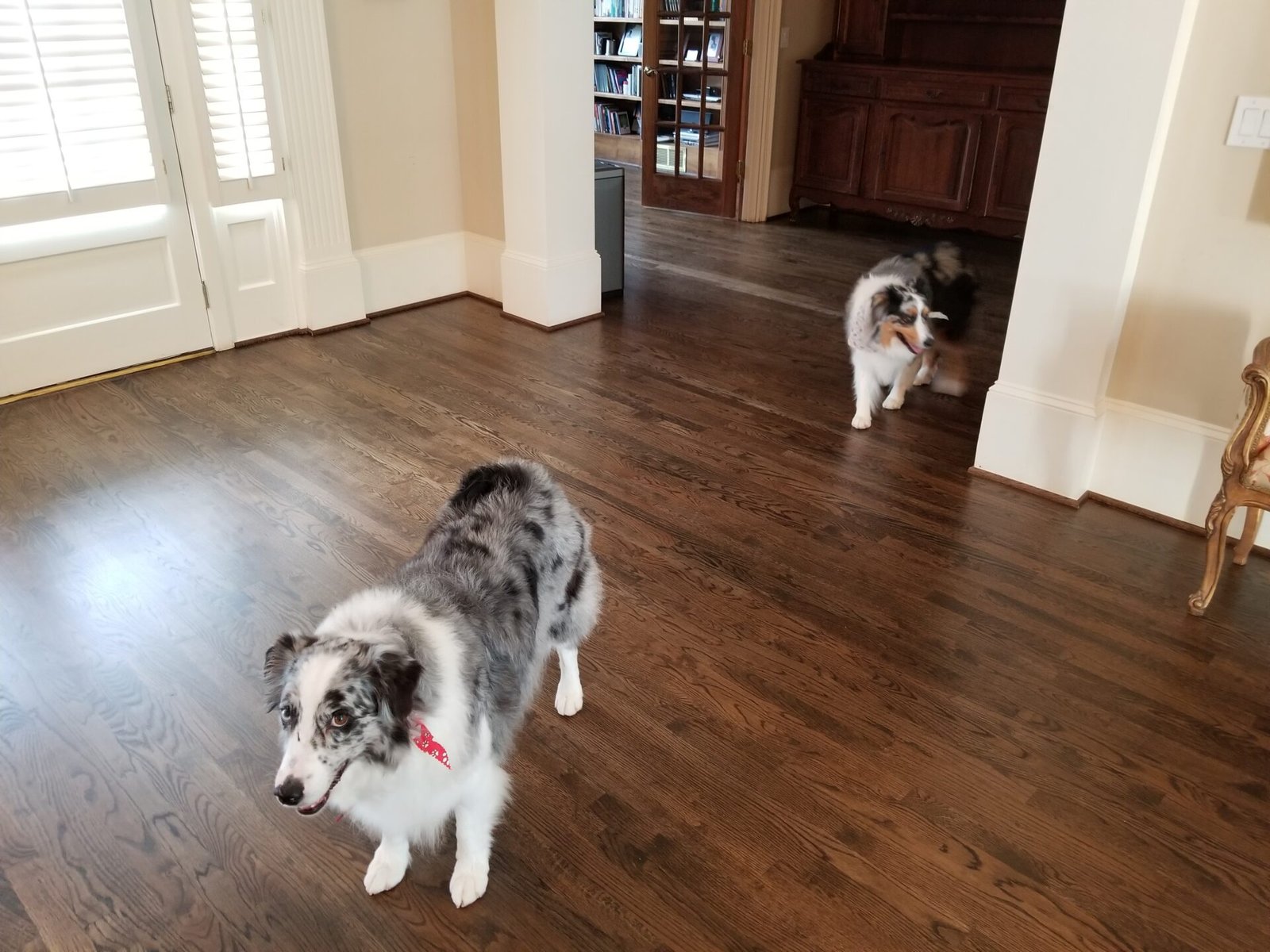 Modern home with new environmentally flooring installed by Eco Flooring USA