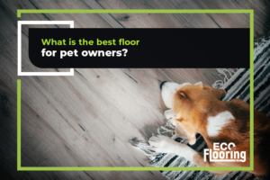 pet-friendly flooring options