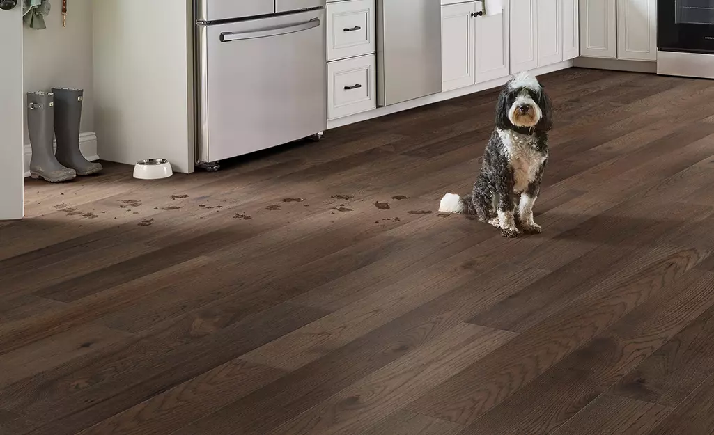 Engineered Hardwood for Pet Owners