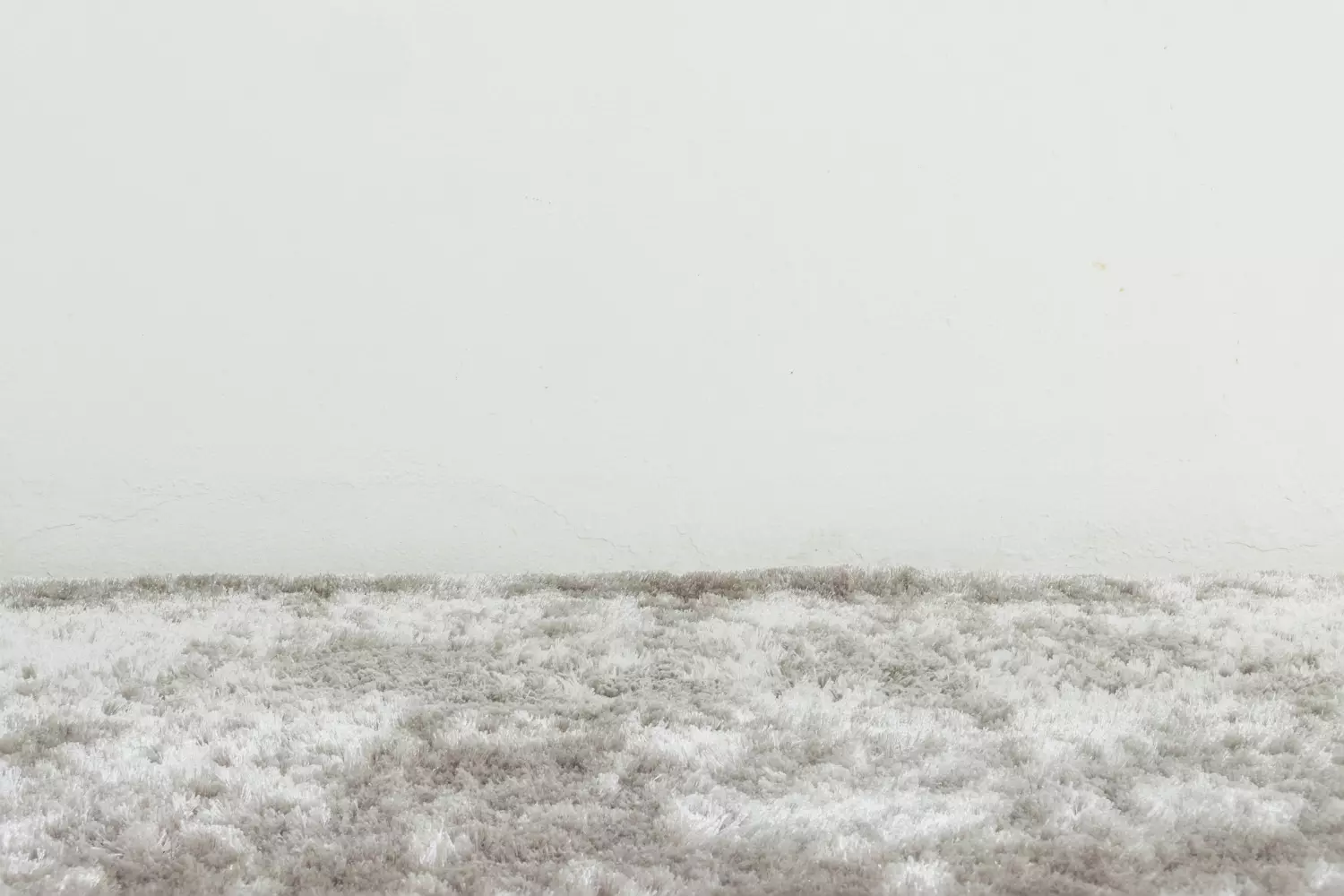 Impact of Carpet for home resale value