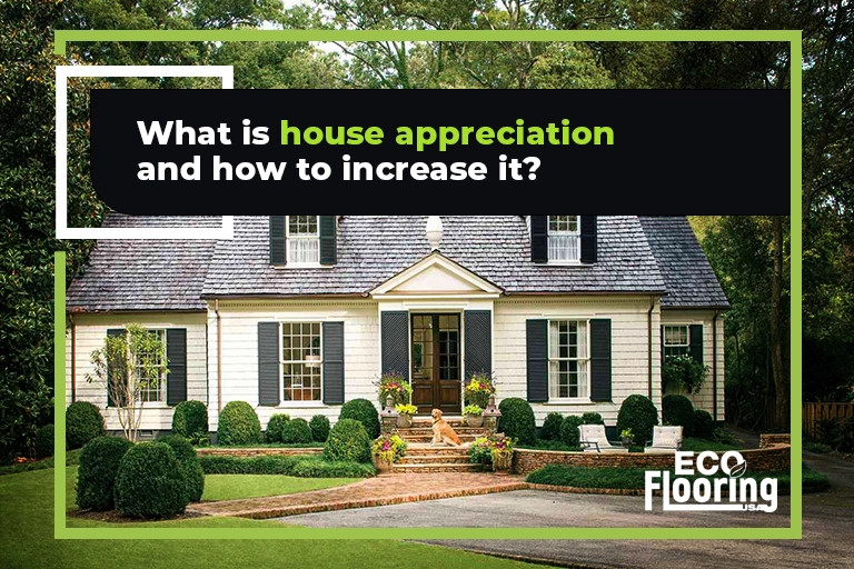 house appreciation